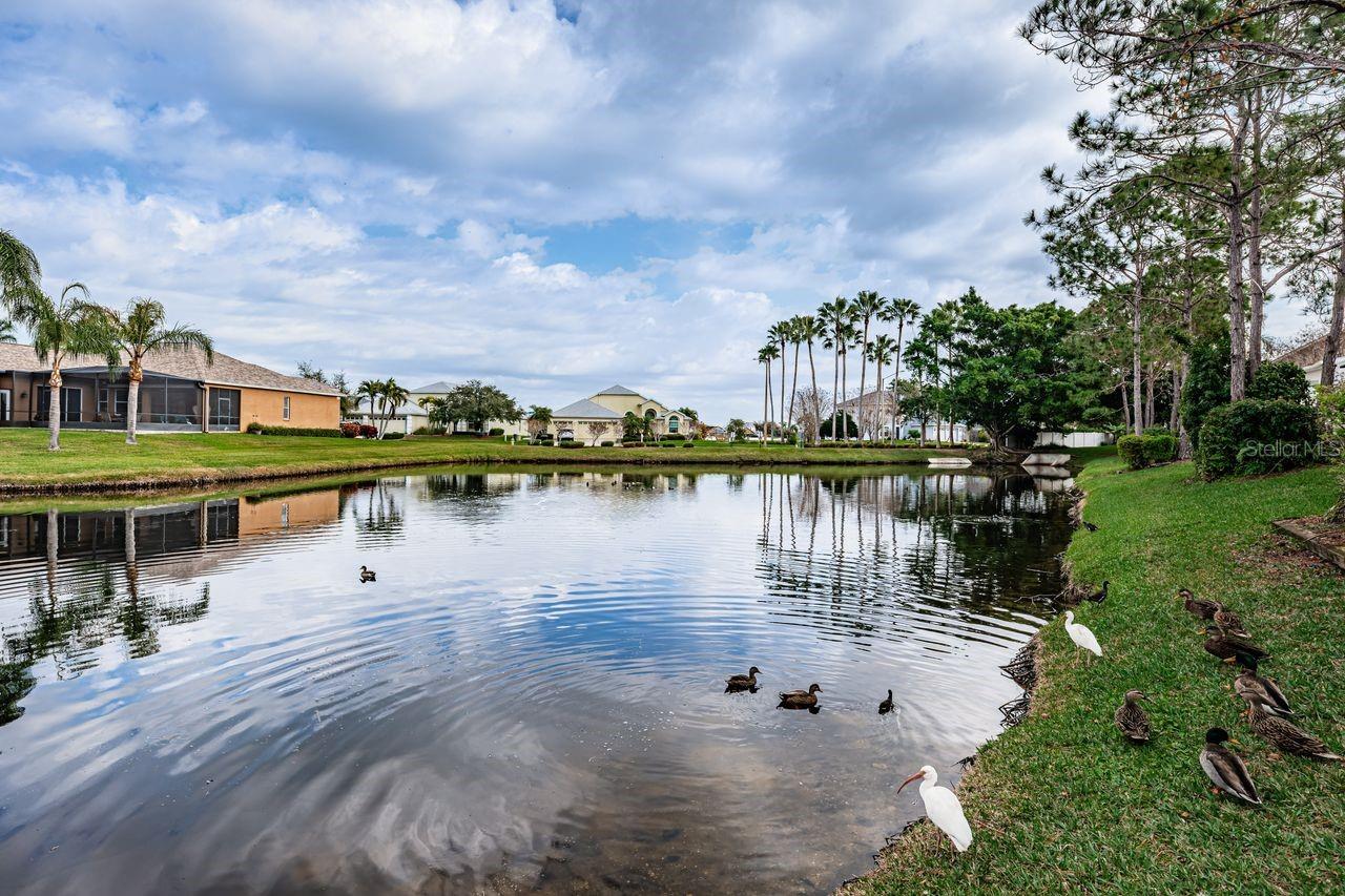 Image 34 of 41 For 605 Vallance Way Ne