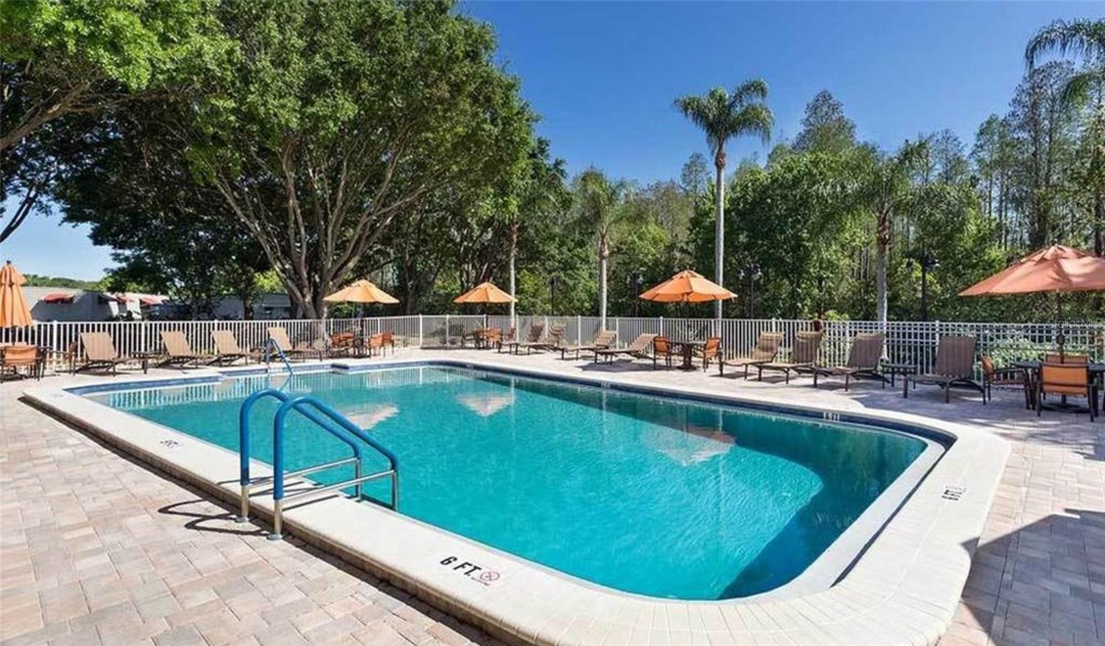 Listing photo id 49 for 39248 Us Highway 19 N 157