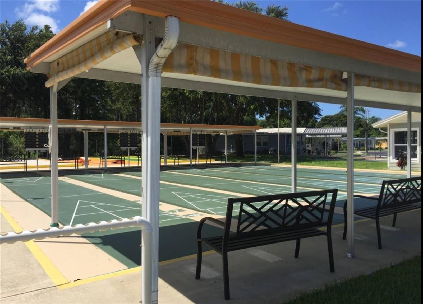 Listing photo id 50 for 39248 Us Highway 19 N 157