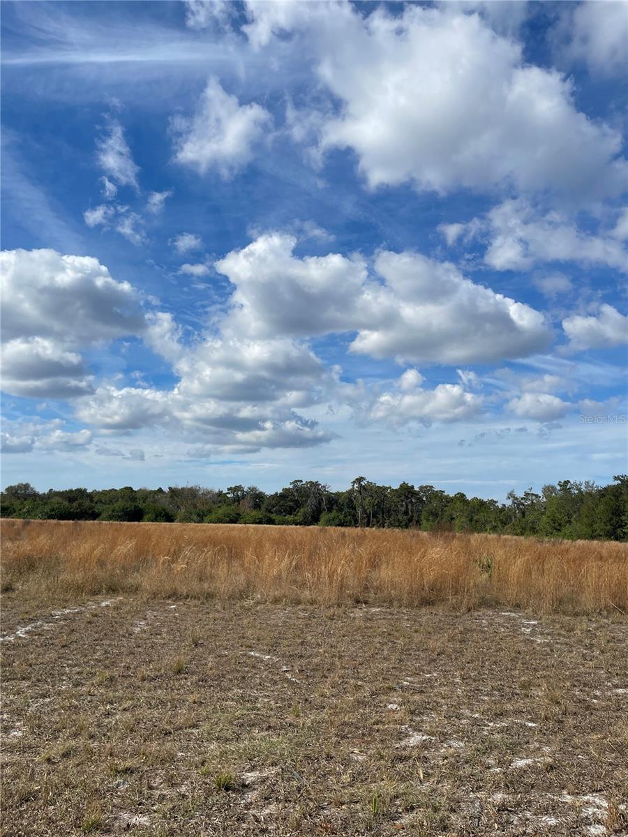 Image 9 of 9 For 14451 Seminole Trail