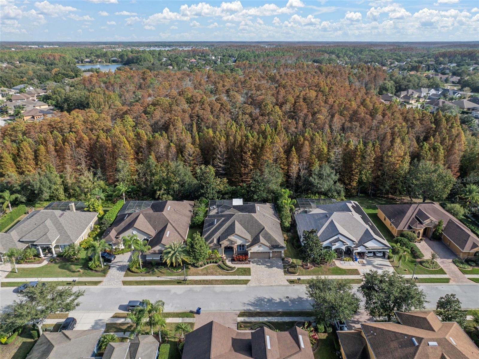 Image 42 of 51 For 15035 Wind Whisper Drive