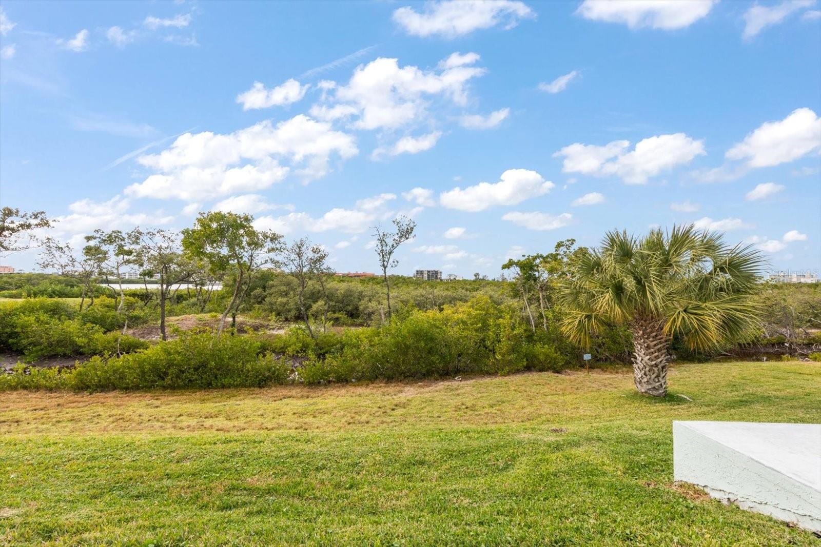 Image 32 of 40 For 9434 Tara Cay Court 25