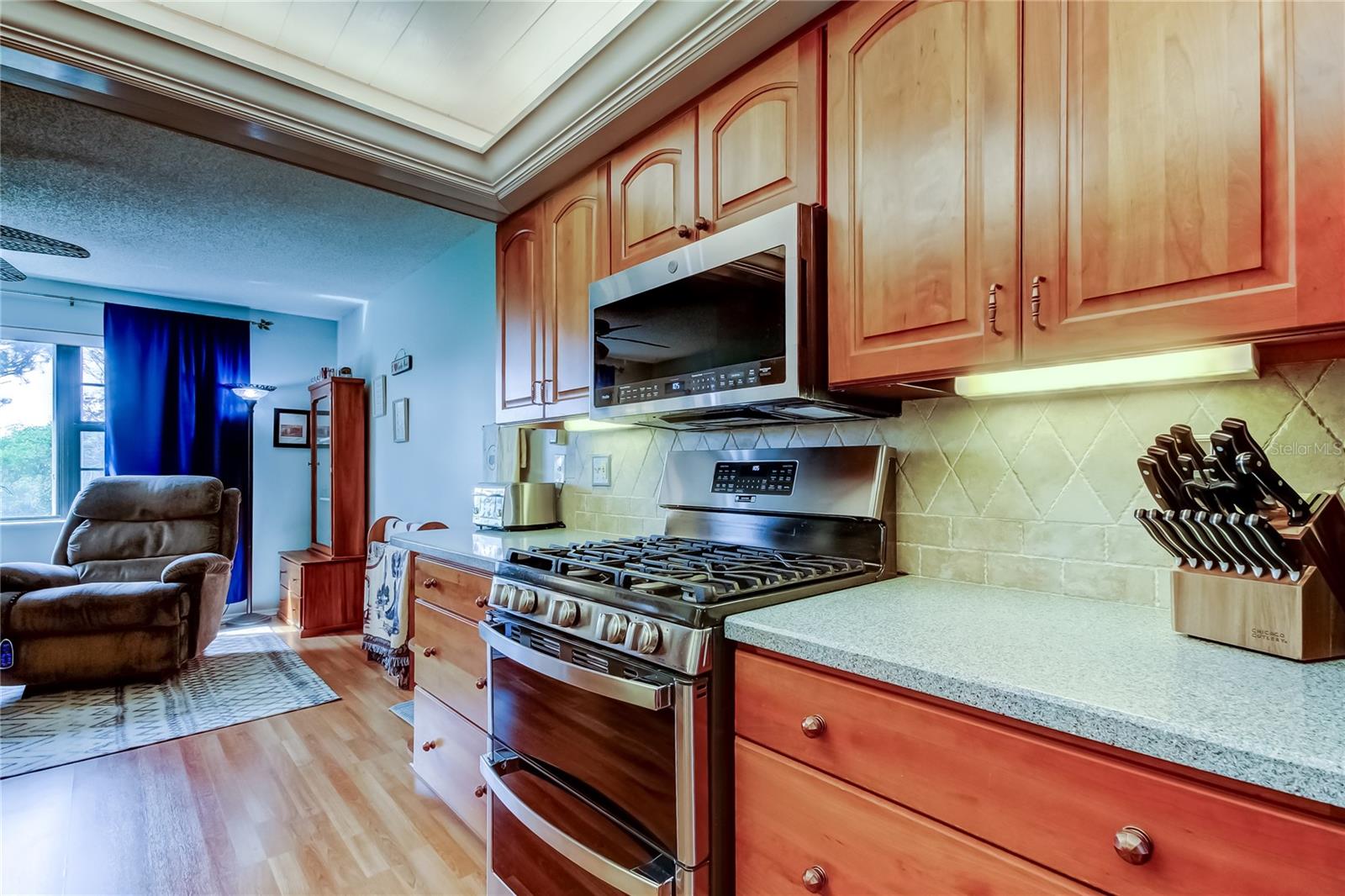 Image 17 of 61 For 8198 Terrace Garden Drive N 209