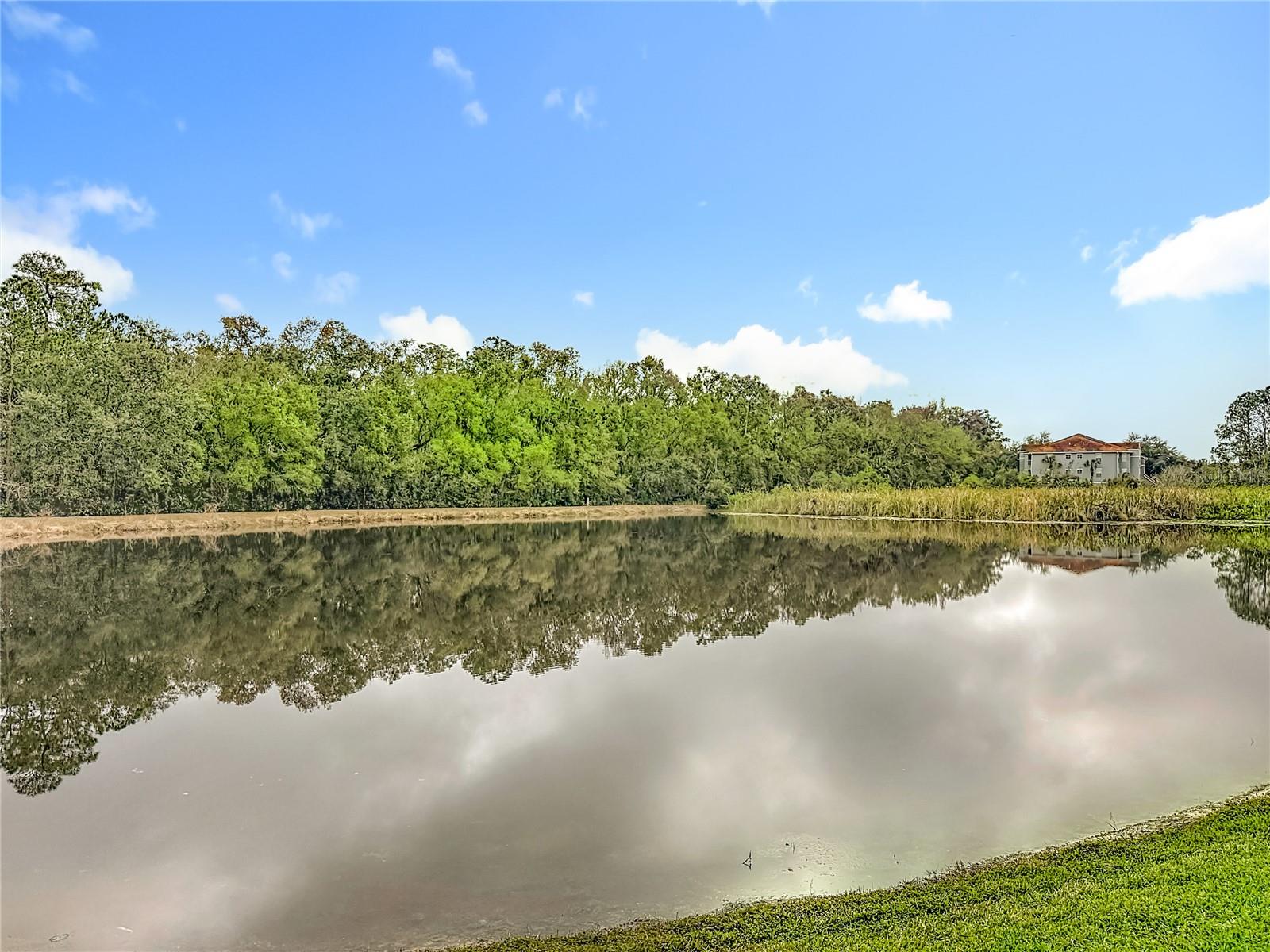 Image 84 of 87 For 8521 Bramwell Way