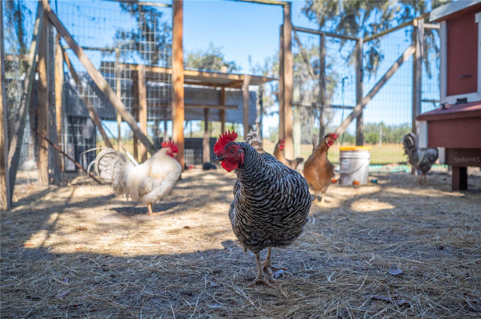 Image 73 of 97 For 4900 J Jackson Road