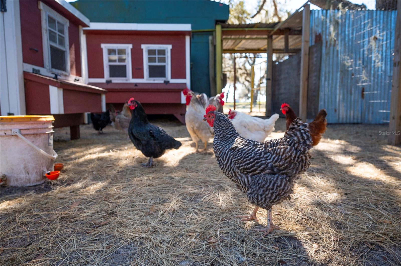 Image 75 of 97 For 4900 J Jackson Road