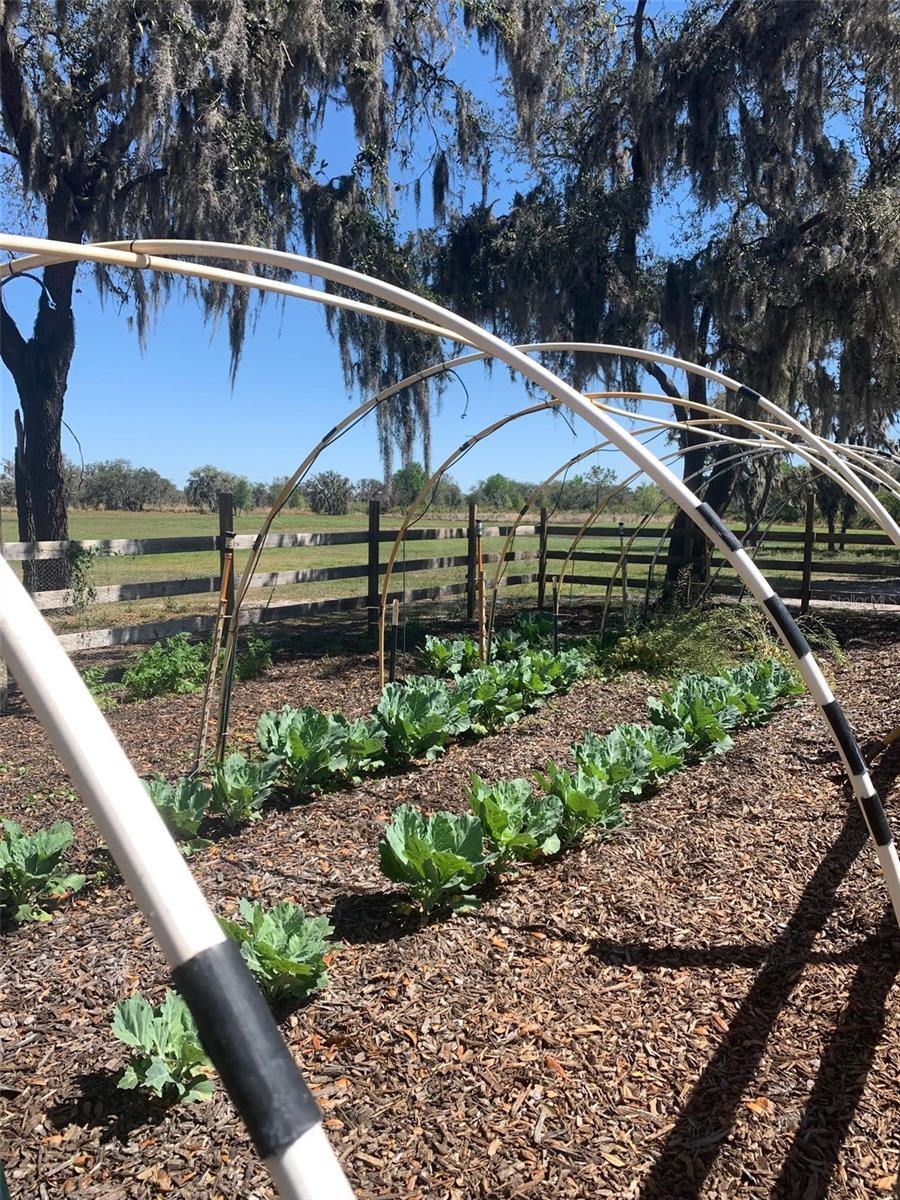 Image 76 of 97 For 4900 J Jackson Road