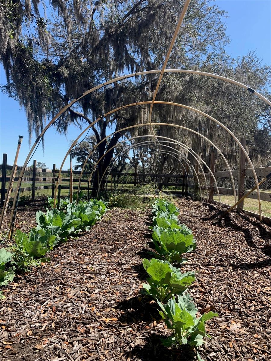 Image 77 of 97 For 4900 J Jackson Road