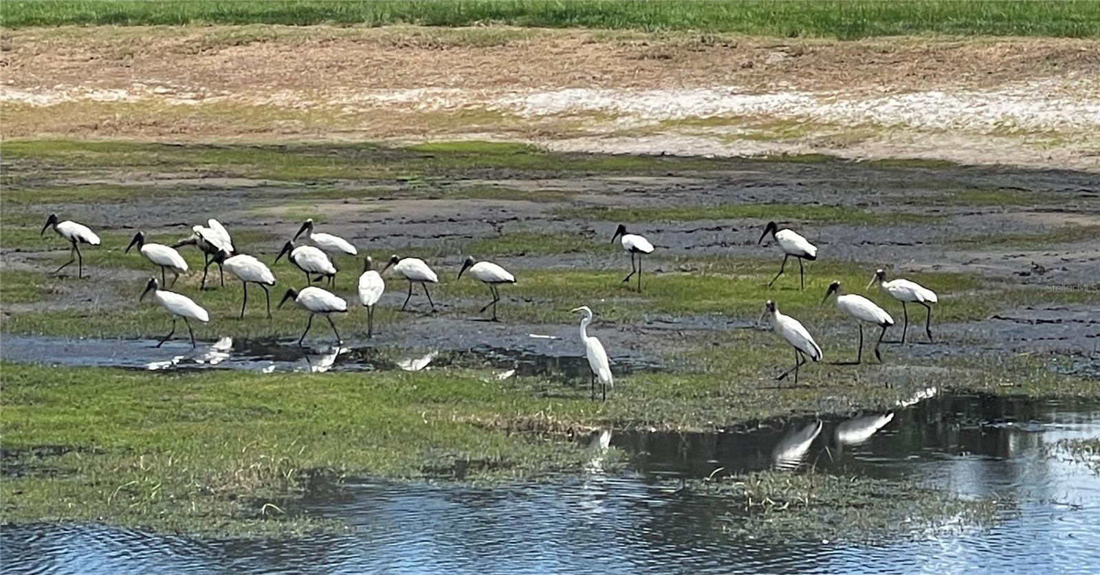 Image 82 of 97 For 4900 J Jackson Road