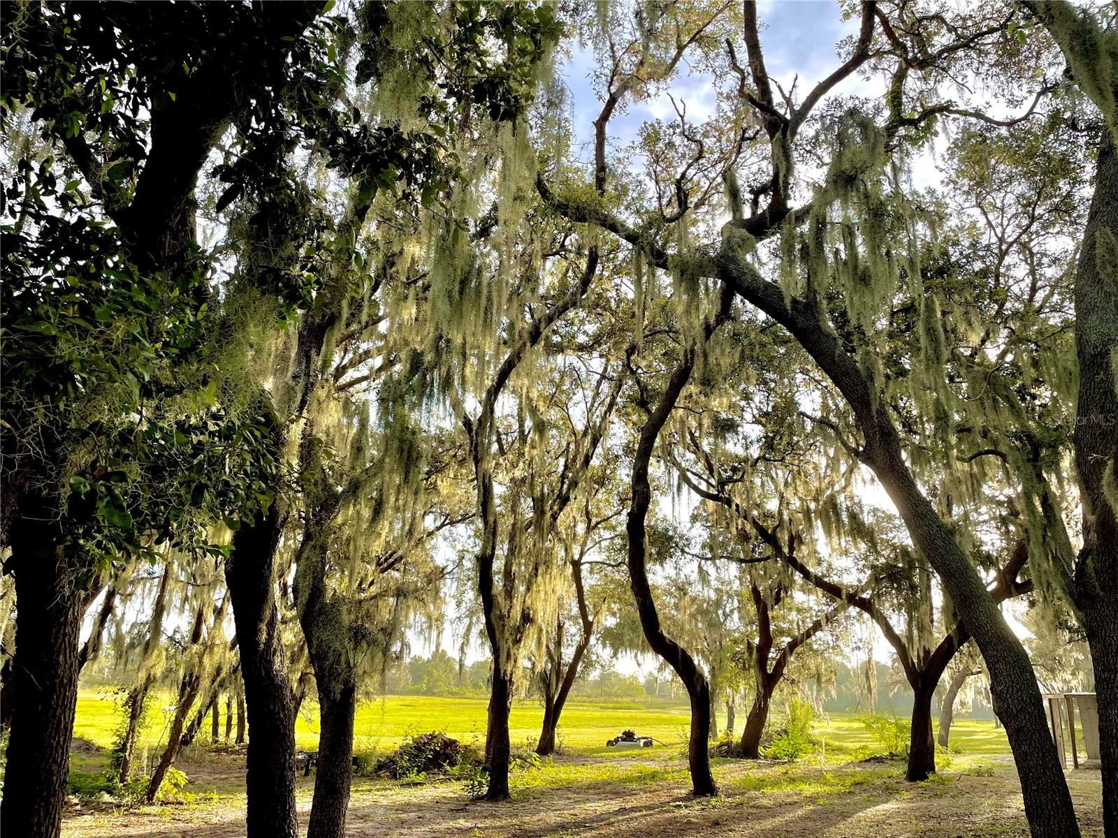 Image 89 of 97 For 4900 J Jackson Road