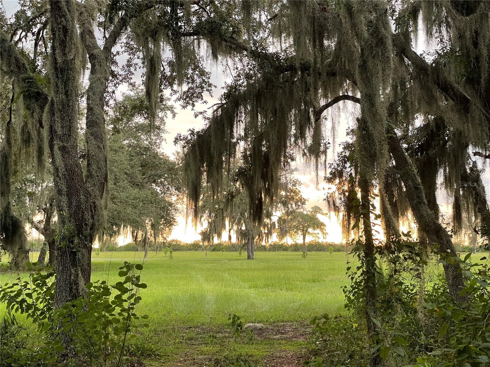 Image 91 of 97 For 4900 J Jackson Road