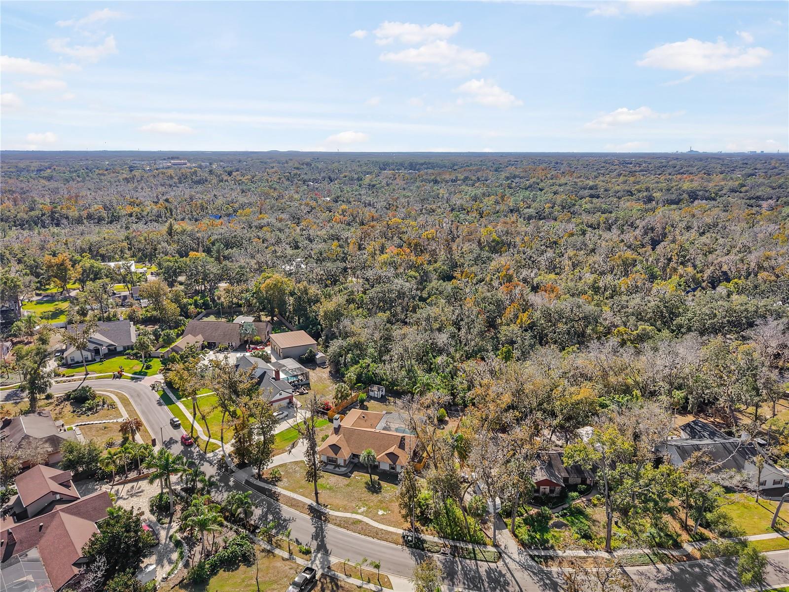 Listing photo id 27 for 109 Holly Tree Lane