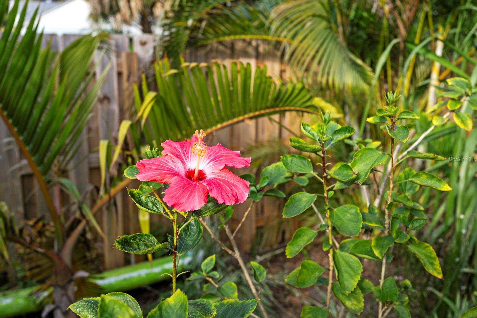 Image 37 of 41 For 1645 15th Street N