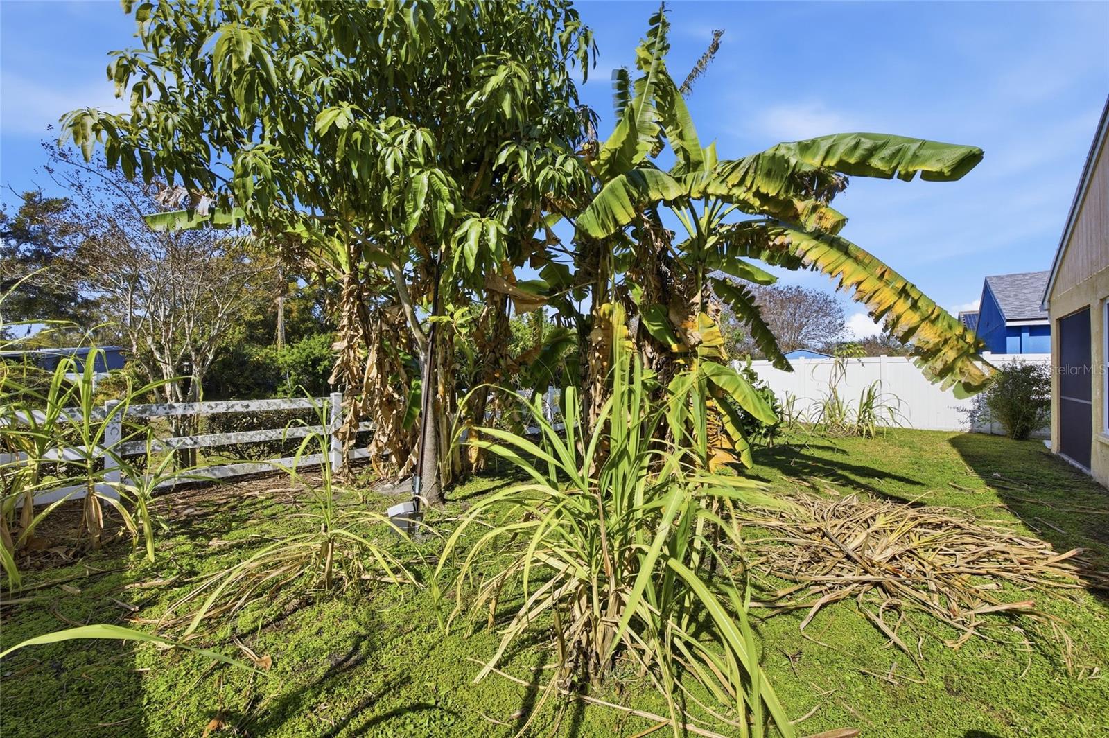 Image 21 of 25 For 11239 Southwind Lake Drive