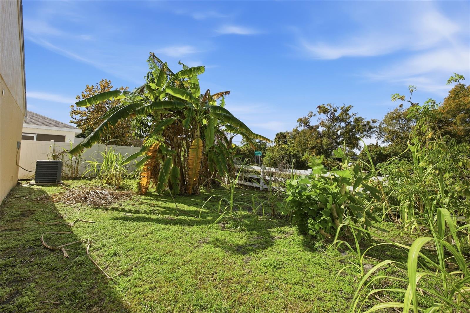 Image 22 of 25 For 11239 Southwind Lake Drive