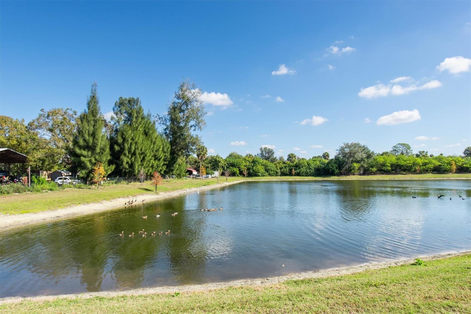 Image 23 of 36 For 6272 Bucket Court