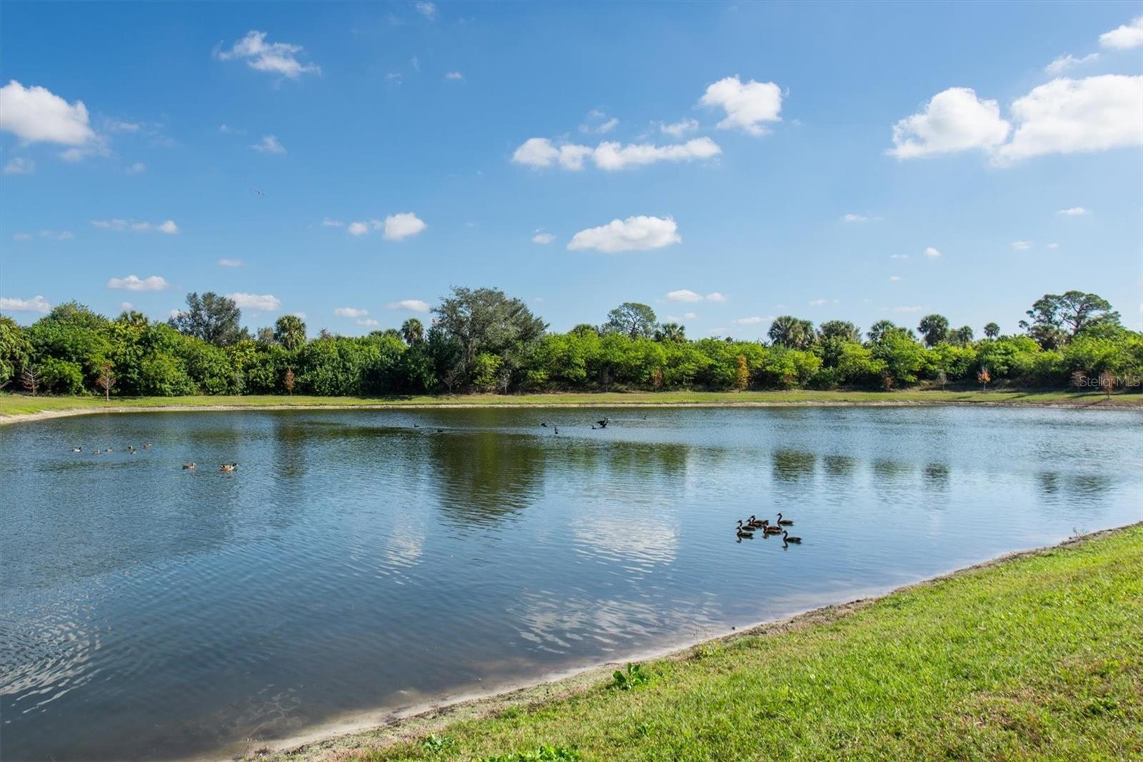 Image 24 of 36 For 6272 Bucket Court