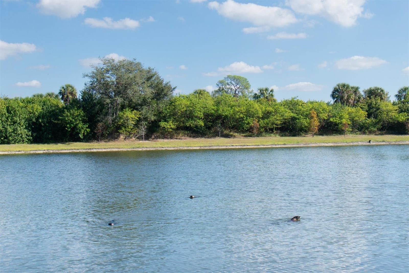 Image 26 of 36 For 6272 Bucket Court