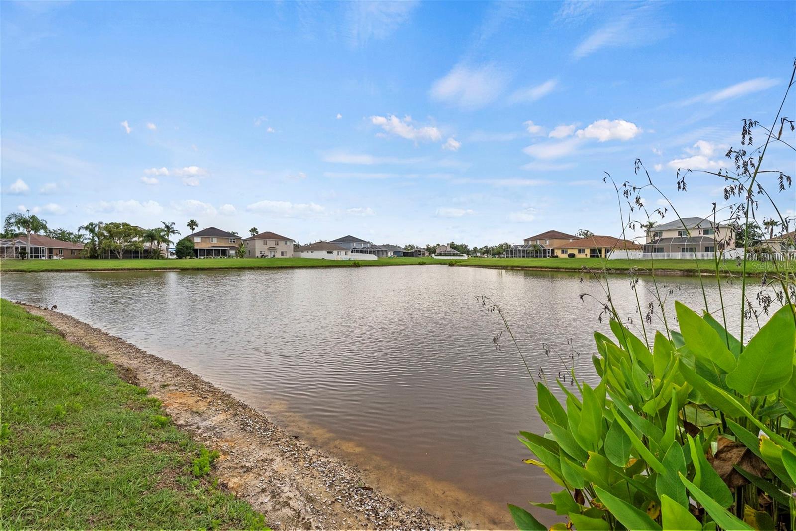 Image 49 of 63 For 25521 Bruford Boulevard