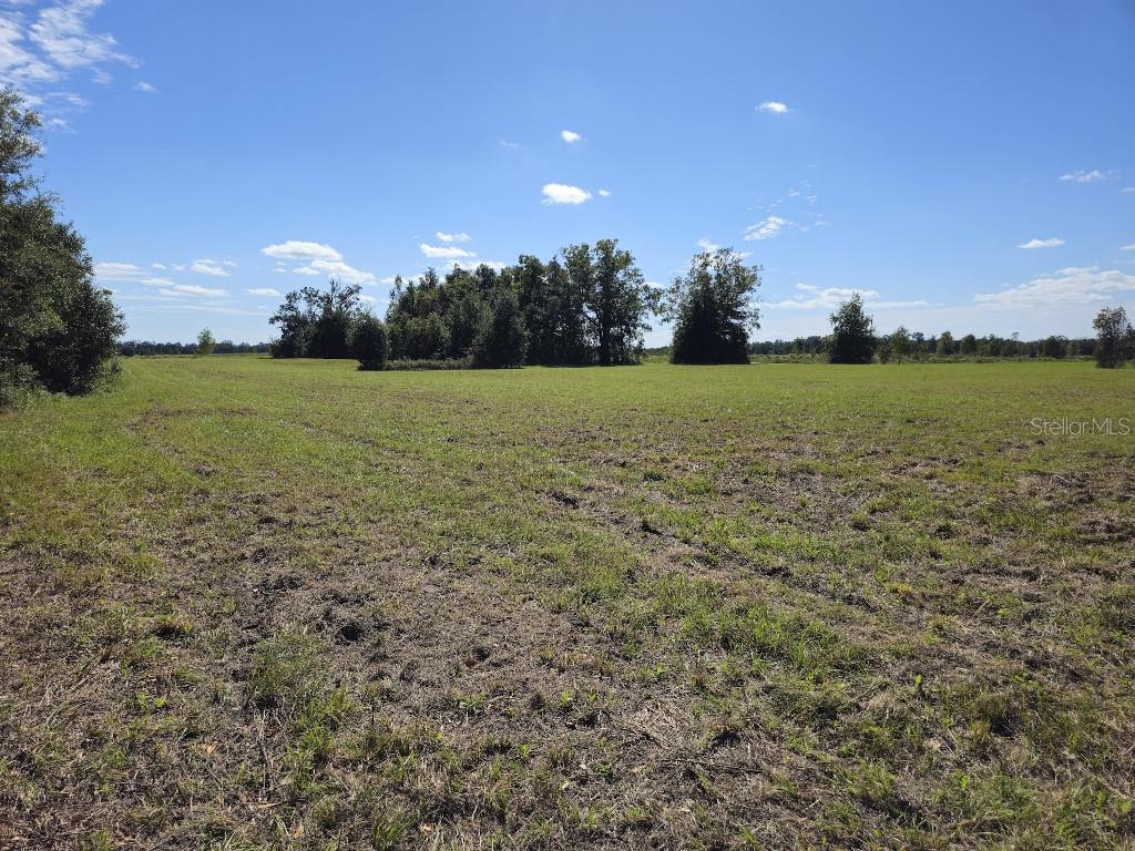 Image 12 of 14 For 0 Meadow View Court