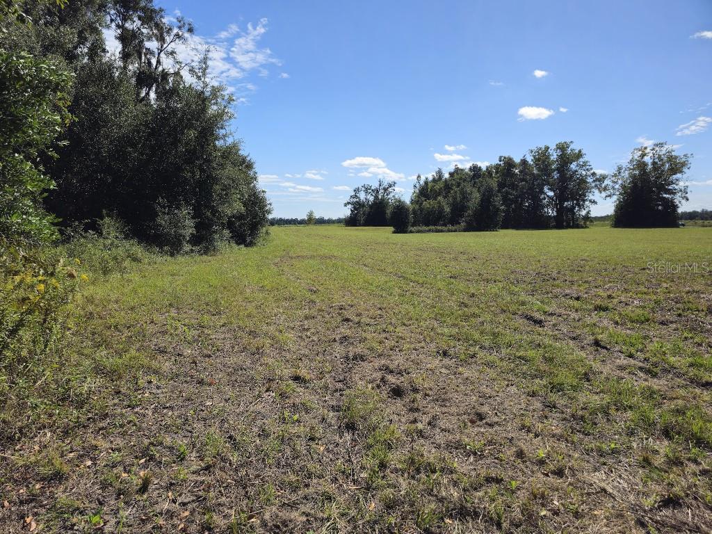 Image 13 of 14 For 0 Meadow View Court