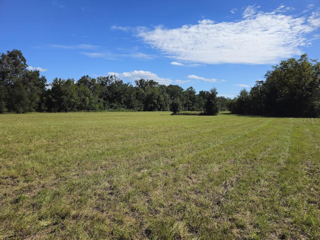 Image 7 of 14 For 0 Meadow View Court