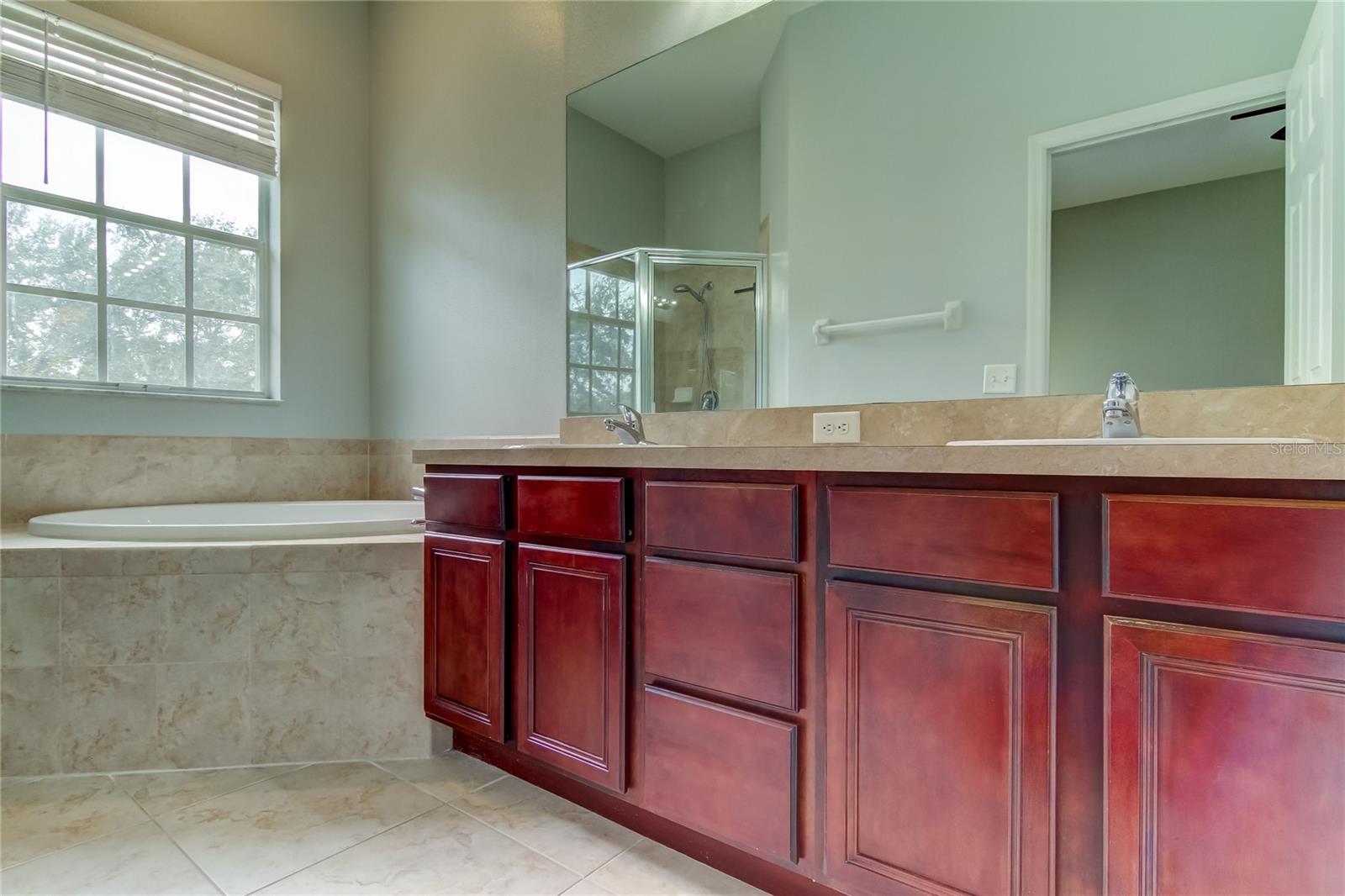 Image 13 of 27 For 14019 Citrus Crest Circle