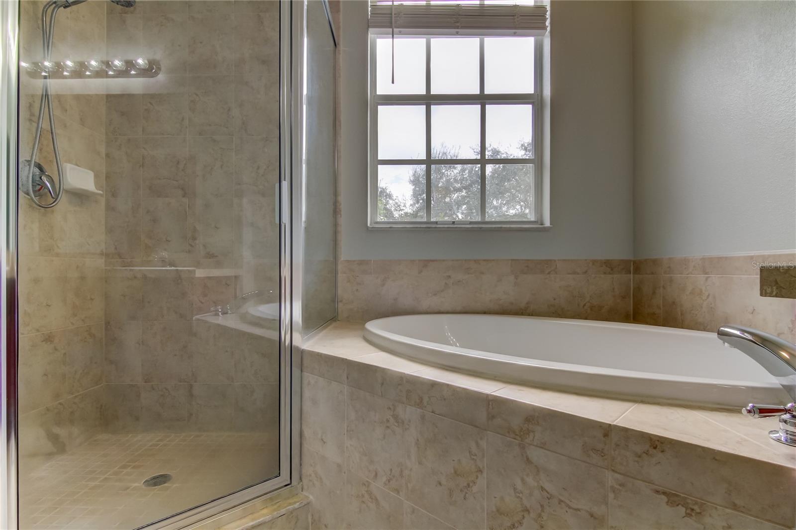 Image 14 of 27 For 14019 Citrus Crest Circle