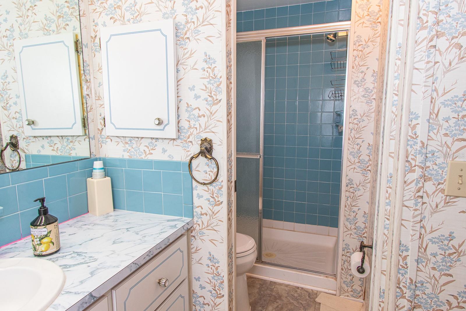 Image 40 of 51 For 291 Lake Tarpon Drive