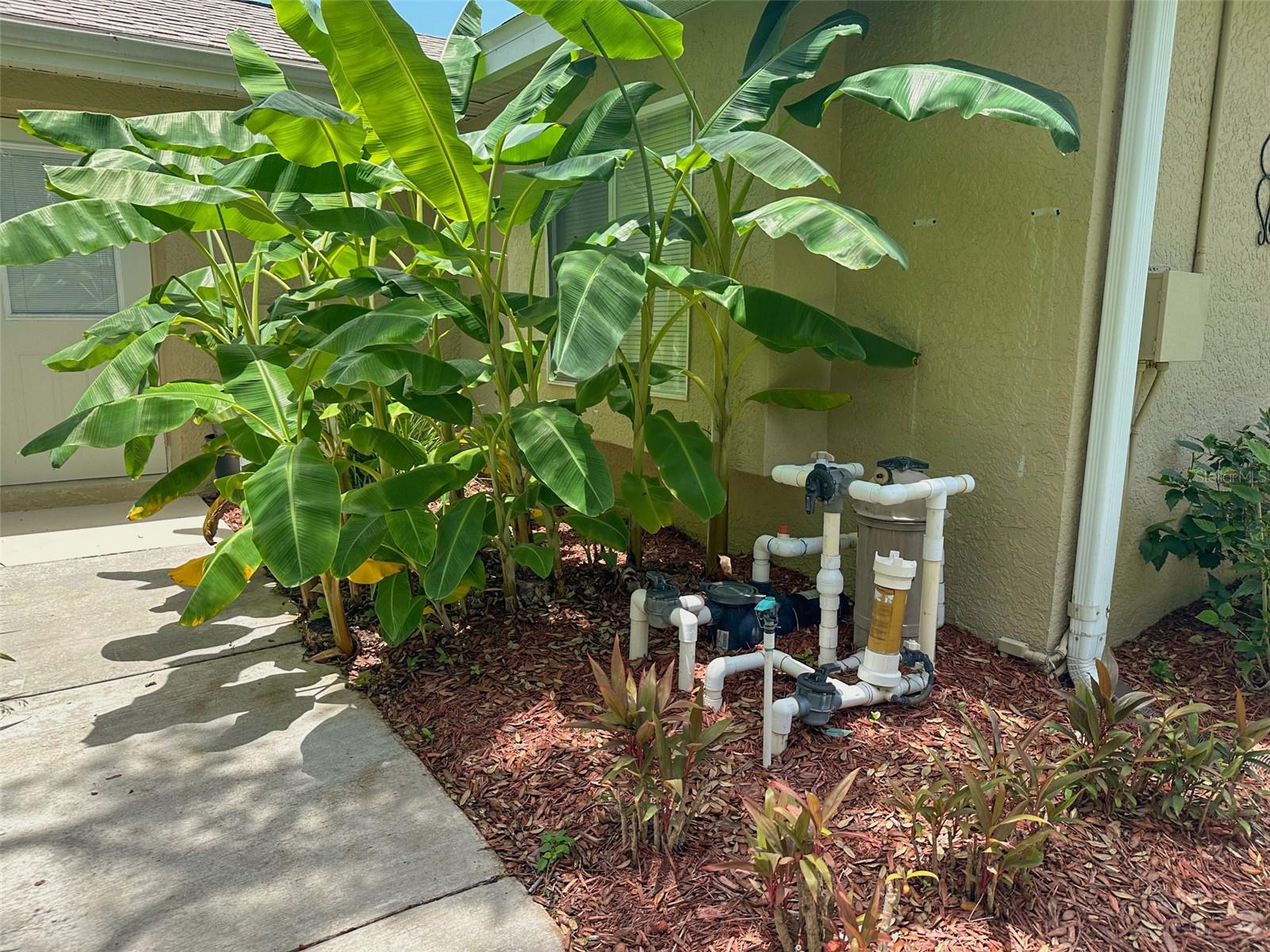 Image 60 of 92 For 13807 Eagles Rock Court