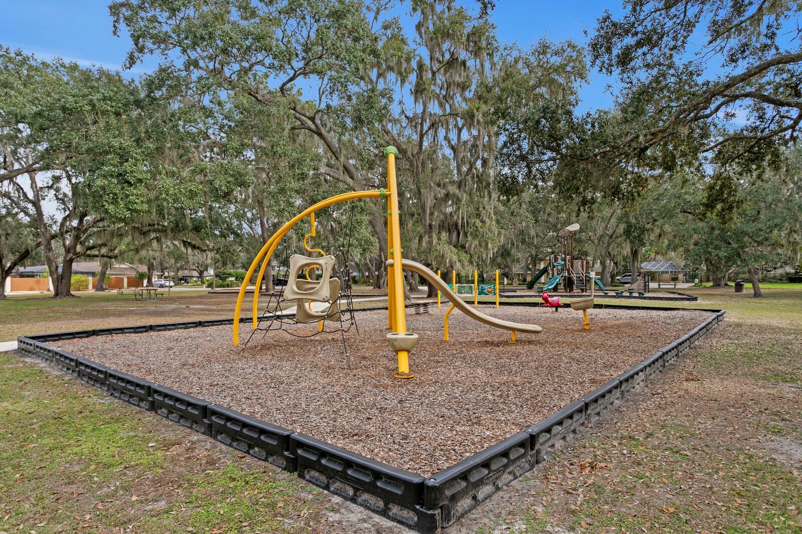 Image 48 of 50 For 713 Rob Roy Place