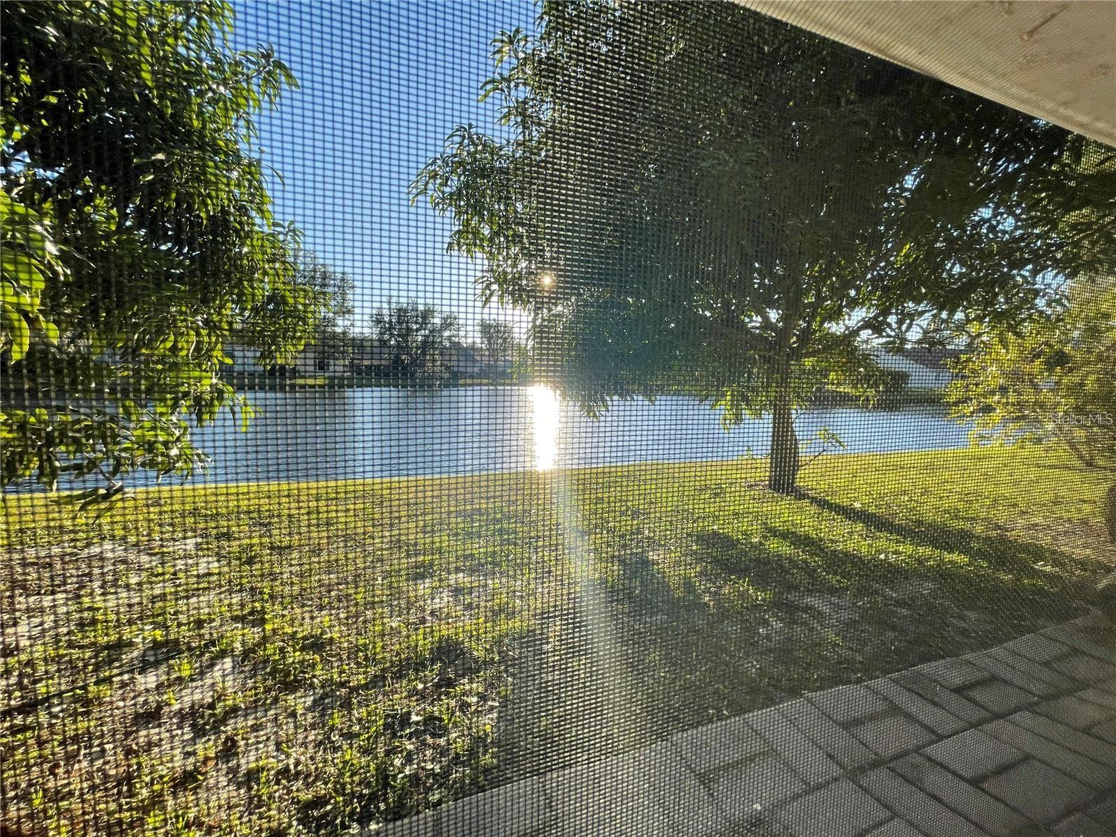 Image 39 of 39 For 10205 Quails Landing Avenue