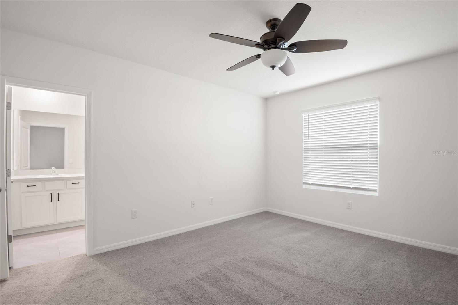 Image 11 of 27 For 365 Mangrove Shade Circle