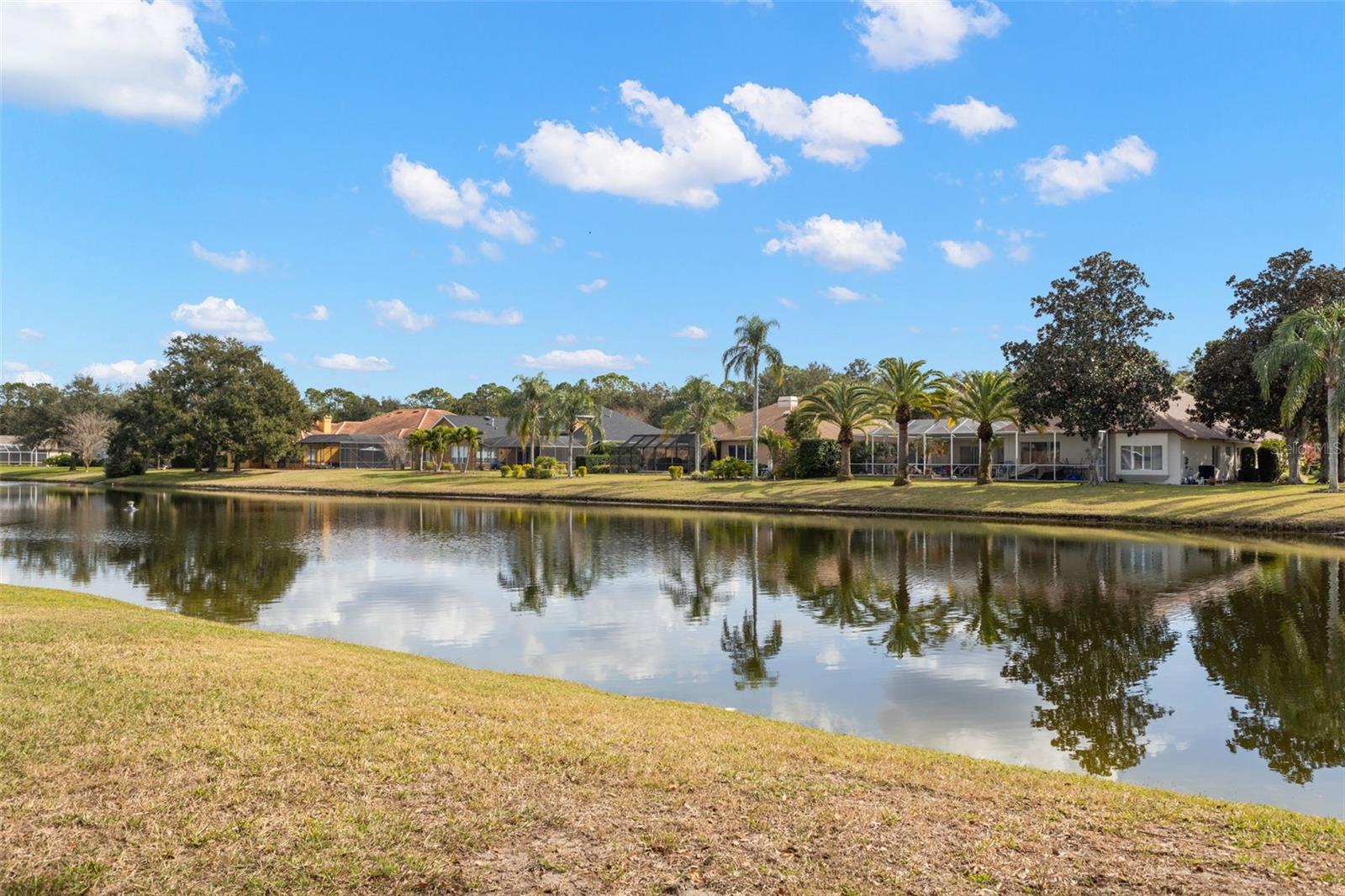 Image 61 of 98 For 3830 Moreno Drive