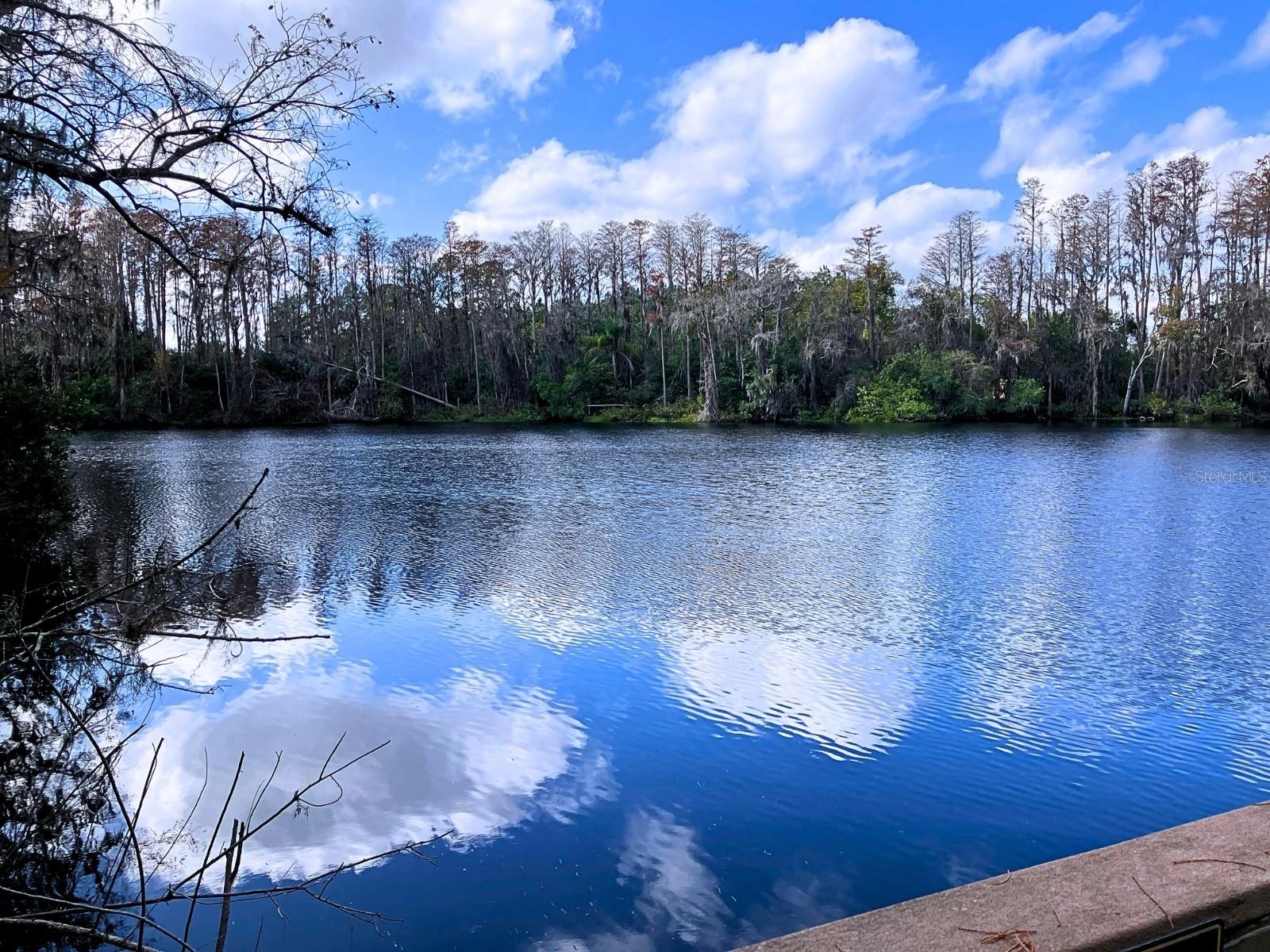 Image 11 of 36 For 20921 Haulover Cove F14