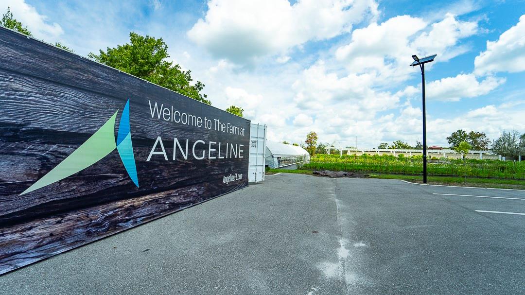 Image 46 of 51 For 16803 Forge Surf Street