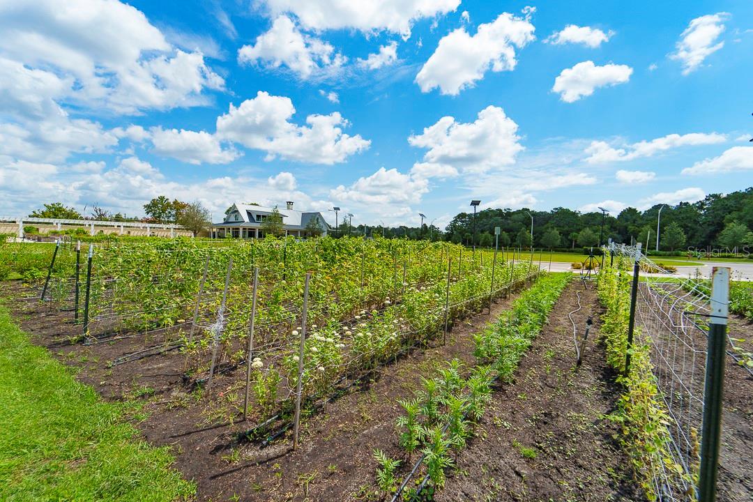 Image 48 of 51 For 16803 Forge Surf Street