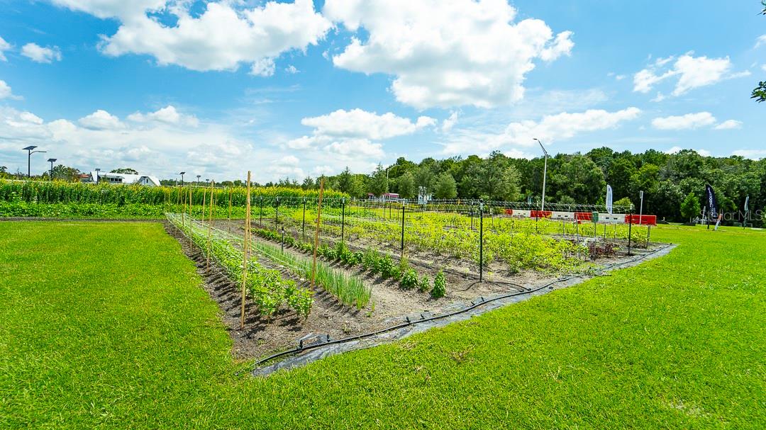 Image 49 of 51 For 16803 Forge Surf Street