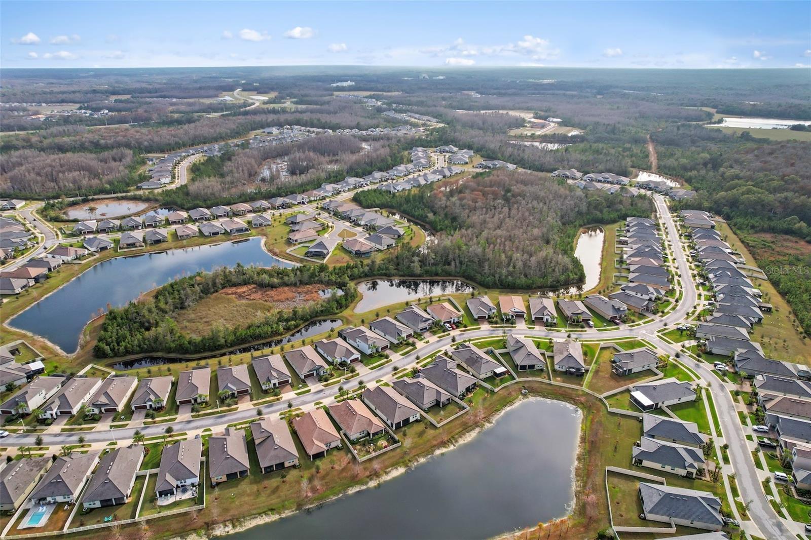 Image 5 of 51 For 16803 Forge Surf Street