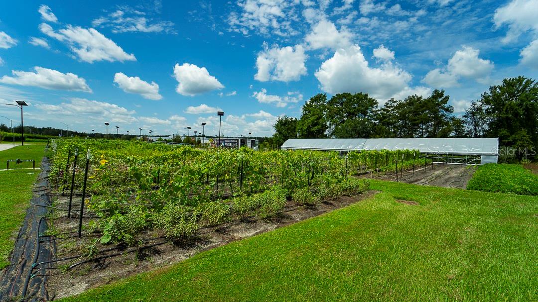 Image 50 of 51 For 16803 Forge Surf Street