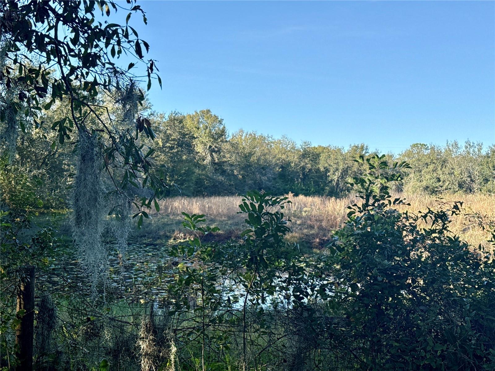 Image 25 of 35 For 7156 Wilderness Lane