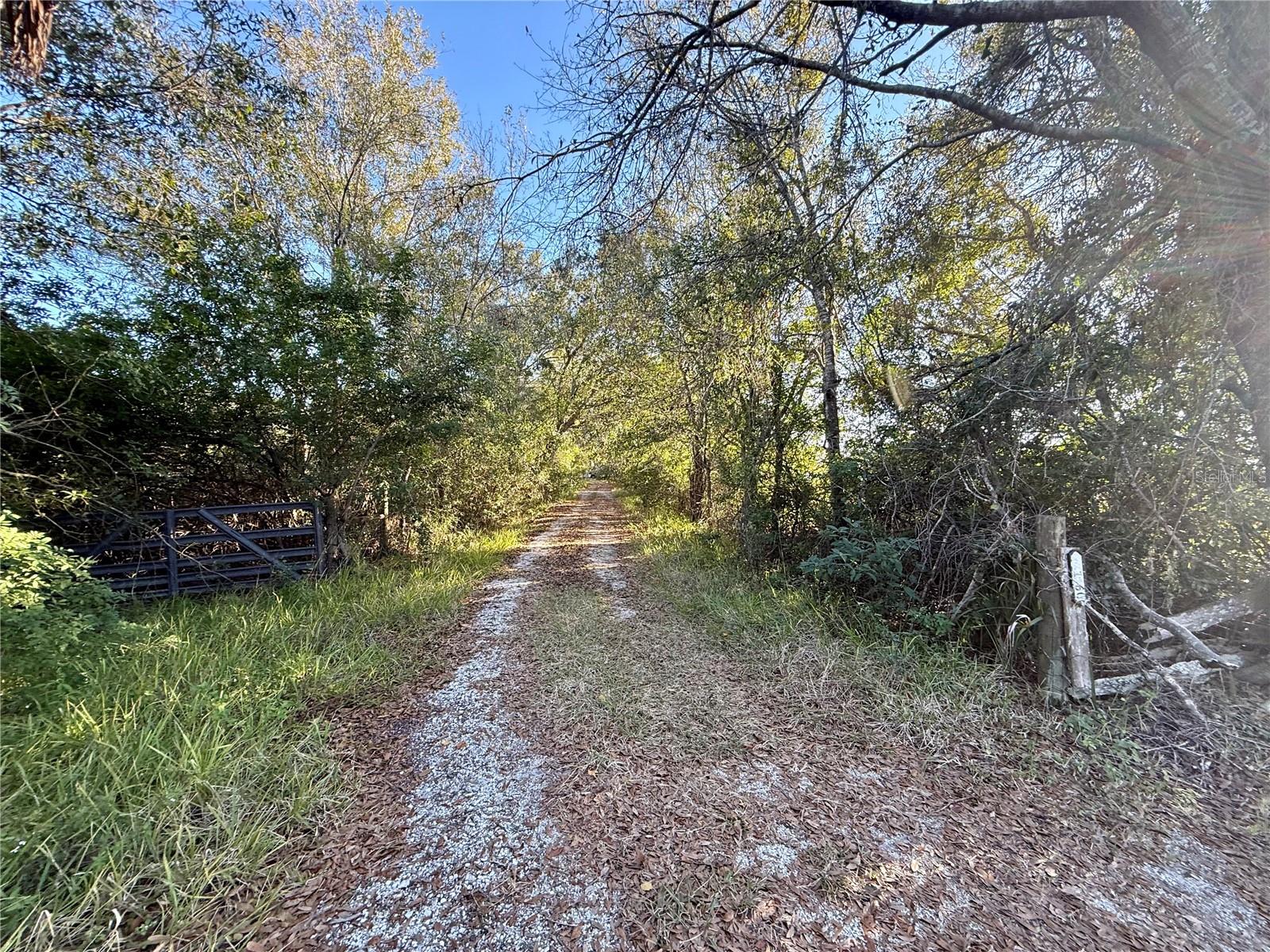 Image 28 of 35 For 7156 Wilderness Lane