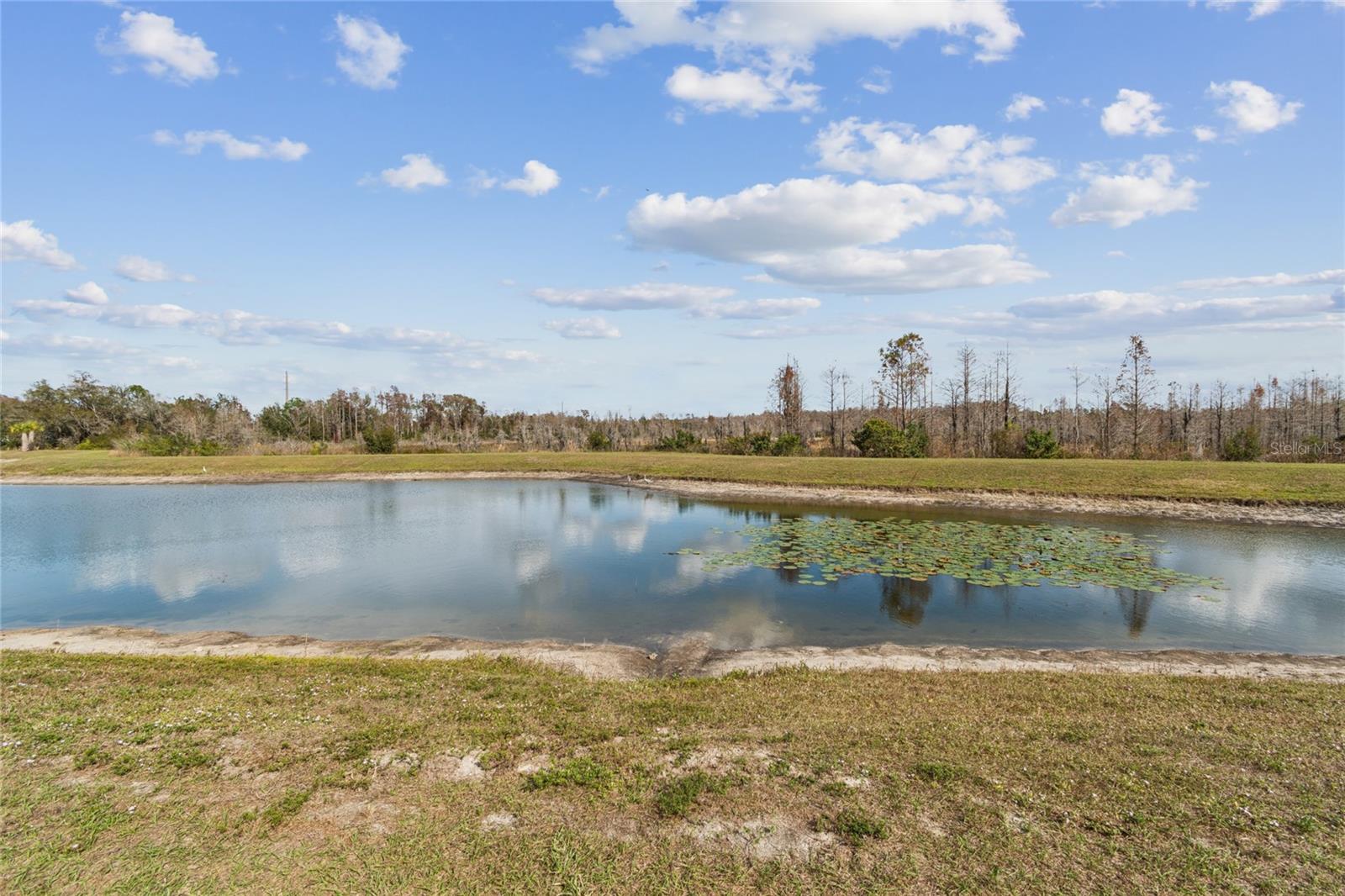 Listing photo id 33 for 19780 Blue Pond Drive