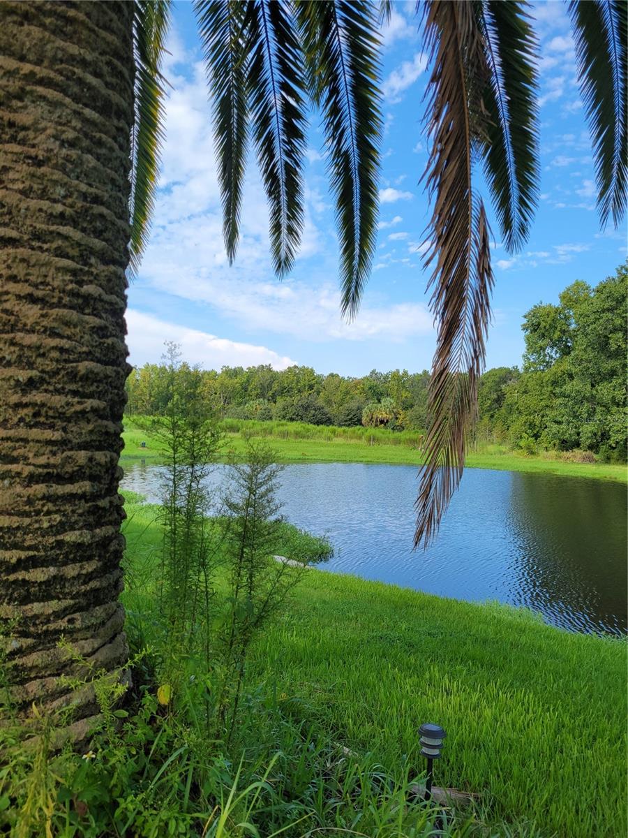 Image 29 of 32 For 3623 Golden Eagle Drive