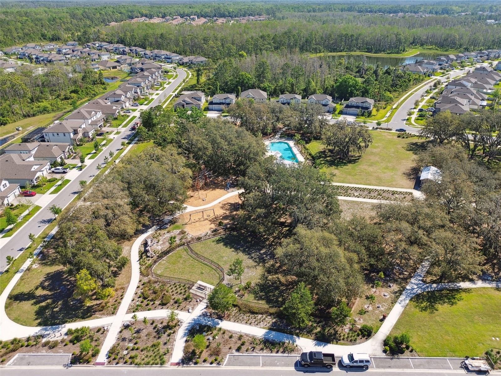 Image 81 of 90 For 4856 Night Star Trail