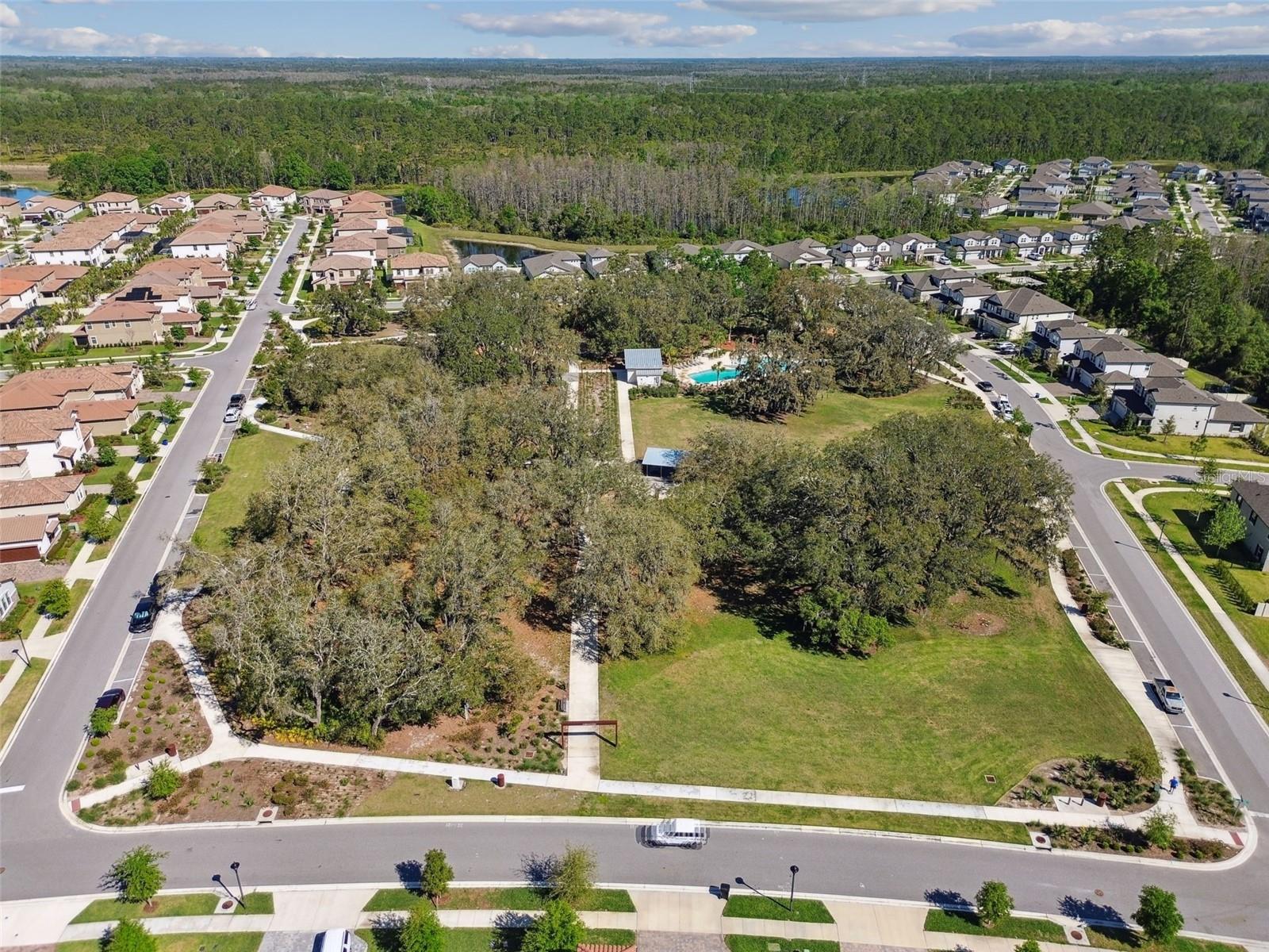 Image 83 of 90 For 4856 Night Star Trail