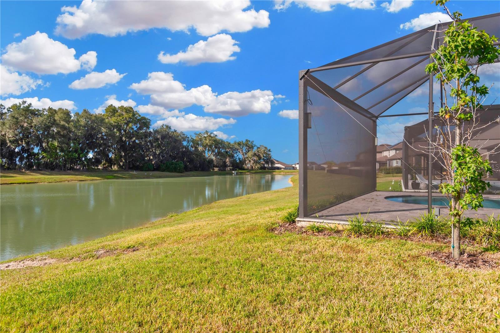 Image 40 of 50 For 9107 Rally Spring Loop