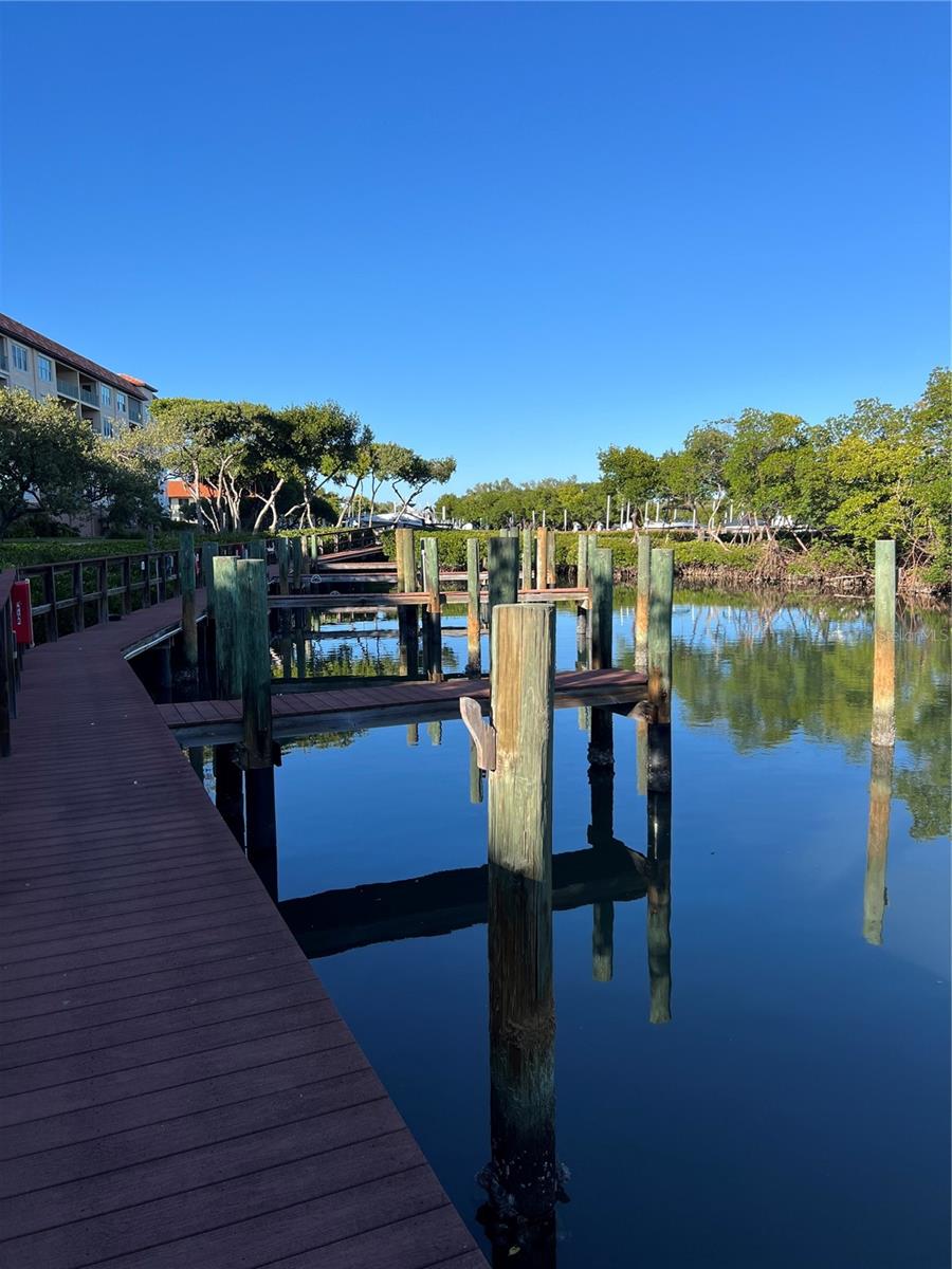 Image 45 of 50 For 1695 Pinellas Bayway S D1