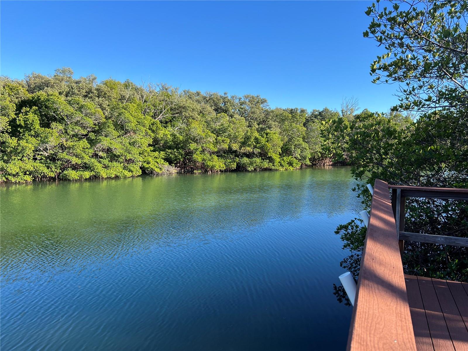 Image 5 of 50 For 1695 Pinellas Bayway S D1