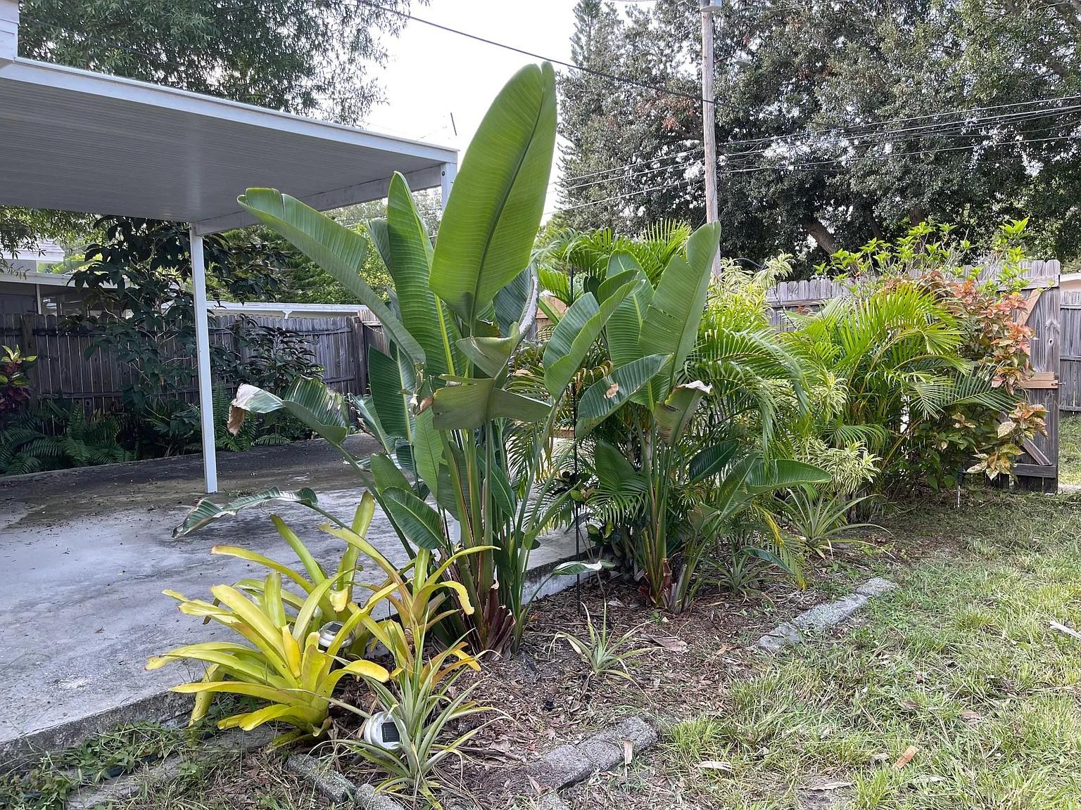 Image 24 of 27 For 715 51st Avenue N